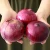 Import Big Onions / Red Onions / Fresh Onions Exporter from China