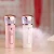 Import Big water tank portable facial nano mist spray or handy facial steamer from China