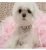 Import Bling Rhinestone Pearl Necklace Dog Collar Alloy Diamond Puppy Pet Collars Leashes For Little Dogs Mascotas Dog Accessories from China
