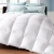 Import Box Stitched White Color Queen Comforter Duvet Insert from China