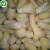 Import BRC certification frozen organic fresh shangdong ginger from China