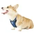 Import Breathable Pet Apparel Stock Reflective Adjustable reflecting soft air mesh pet harness pet dog vest harness from China