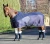 Import Brown Horse turnout Rug horse stable rugs fleece cooler horse blanket manufacturer from India