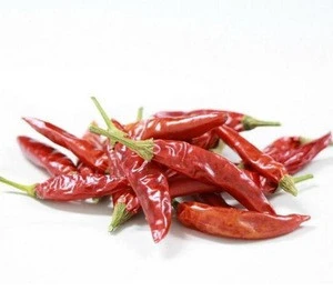 Bulk supply dried red pepper for single spices & herbs