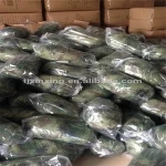 camouflage military sleeping bag, adult sleeping bag