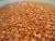 Import CANADA GREEN AND RED LENTILS from Germany