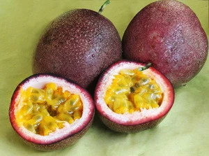 canned Passion Fruit