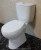 Import Ceramic Western Toilet Bowl Price HTT-CFT17+S06 For Promotion from China