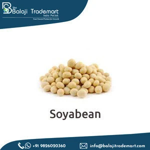 Certified Quality Absolutely Healthy for Human Consumption Soybean Seed at Bulk