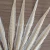Import cheap plumas white ringneck pheasant feathers for carnival costumes from China