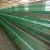 Import chicken egg poultry farm from China