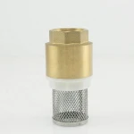 China Factory Valve Body With Stainless Steel Net Check Valve 3/4 "  Brass Safety Valves