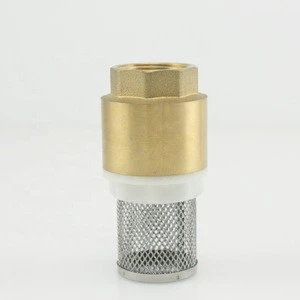 China Factory Valve Body With Stainless Steel Net Check Valve 3/4 &quot;  Brass Safety Valves