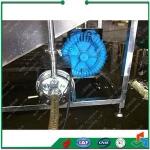 China Fruit Vegetable Food Washer