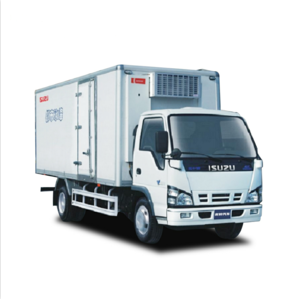 China isuzu NPR refrigerated truck/refrigerated van/refrigerator truck with good quality and hot sale for export