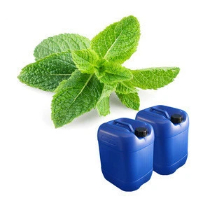 China Manufacturer Peppermint Oil Prices/Peppermint Essential Oil in Bulk
