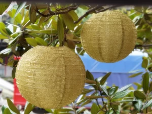 China Professional Manufacture Supplier Glitter Gold or Silver Color  Craft Hanging Paper Lanterns