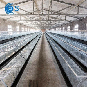 China supplier battery chicken layer cage sale for pakistan farm