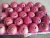 Import chinese fresh red fuji apple from China