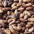 Import Cocoa Beans _ Cocoa Beans from Ivory Coast (Cote DIVOIRE) from USA