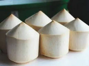 Coconut Vietnam High Quality Competitive Price