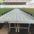 Import Commercial low cost single span dome film greenhouse from China