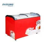 Commercial Popsicle Display Freezer Mini Fridge Small Refrigerator