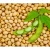 Import COMPETITIVE PRICE from VIETNAM FRESH GREEN SOYBEAN from Vietnam