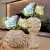 Import Creative home decorative living room handmade modern resin flower vase from China