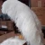 Import Crystal Ostrich Feather for wedding decoration home decoration from China