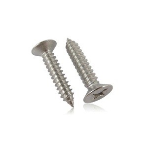 CSK Self Tapping Screw  Stainless Steel Cross Recessd Screw