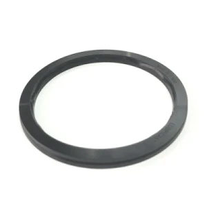 Custom Silicone Gasket/Washer for Jet Water Pump Part