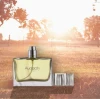 customize perfume oil fragrance for men original bottle glass perfume brand perfume body fragrance long lasting