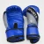 Import Customized boxing glove Fingerless Boxing UFC MMA Gloves Accept OEM from China