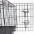 Import Customized Size Black Wire Double Door Folding Pet Cage Dog Kennel Foldable Dog Collapsible Crate Wholesale from China