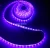 Import Dc5V smd5050 UV customized 270-395nm purple led flexible strip light 1m/roll  with USB led sterilizing lamp from China