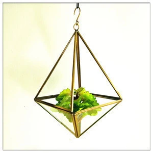 decorative air succulant planter geometric terrarium glass craft