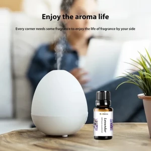 Delicate Decoration Home Essential Oil Set Luxury Fireless Aroma Reed Diffuser Oil