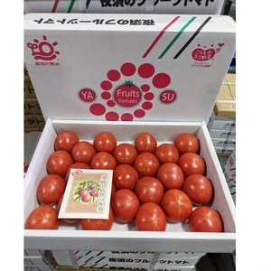Delicious wholesale purchase specification for fresh tomatoes price