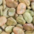 Import Dried Broad Beans Fava Beans With Best Price from Netherlands