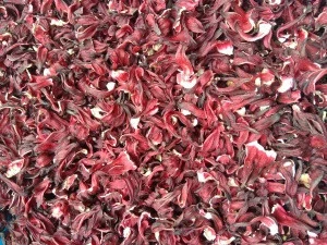 Dried Hibiscus Flowers Available...