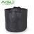Import Eco-friendly Nonwoven Fabric 5 Gallon Plastic Grow Pots from China