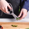 Economical and practical stainless steel kitchen scissors for cutting vegetables