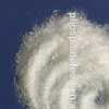factory direct supply Super Seasoning HALAL 30-120mesh msg monosodium glutamate 99% and 98% with best price