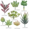 Factory directly  Factory directly 16 Pack Artificial Succulent Flocking Plants Unpotted Mini Lotus