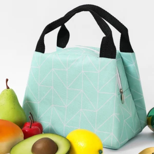 Factory Hot Sell Reusable Insulated Thermal Picnic Food cheap collapsible Lunch Cooler Tote Bag for Women Men Adults and Kids