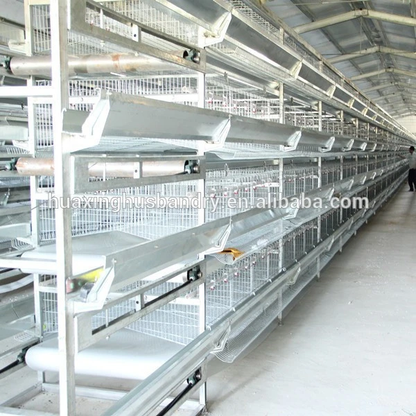 factory manufacturing animal husbandry equipment battery cages for laying hens used