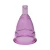 Import Factory Mold Anti-leak Menstrual Cup for Women Vaginal from China
