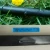 Import farm large area flat emitter PE pipe drip irrigation pipes factory chinese agricultural from China