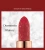 Import Fashion  Design With Gold Chain  Velvet Matte Lipstick Makeup Tint lipstick private label from China